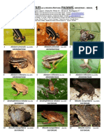 447 Colombia Anfibiosreptiles-Palmarireserve-Amazonas 2 PDF