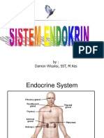 Anatomi Endokrin 1