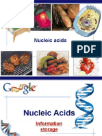 Nucleic Acids: AP Biology