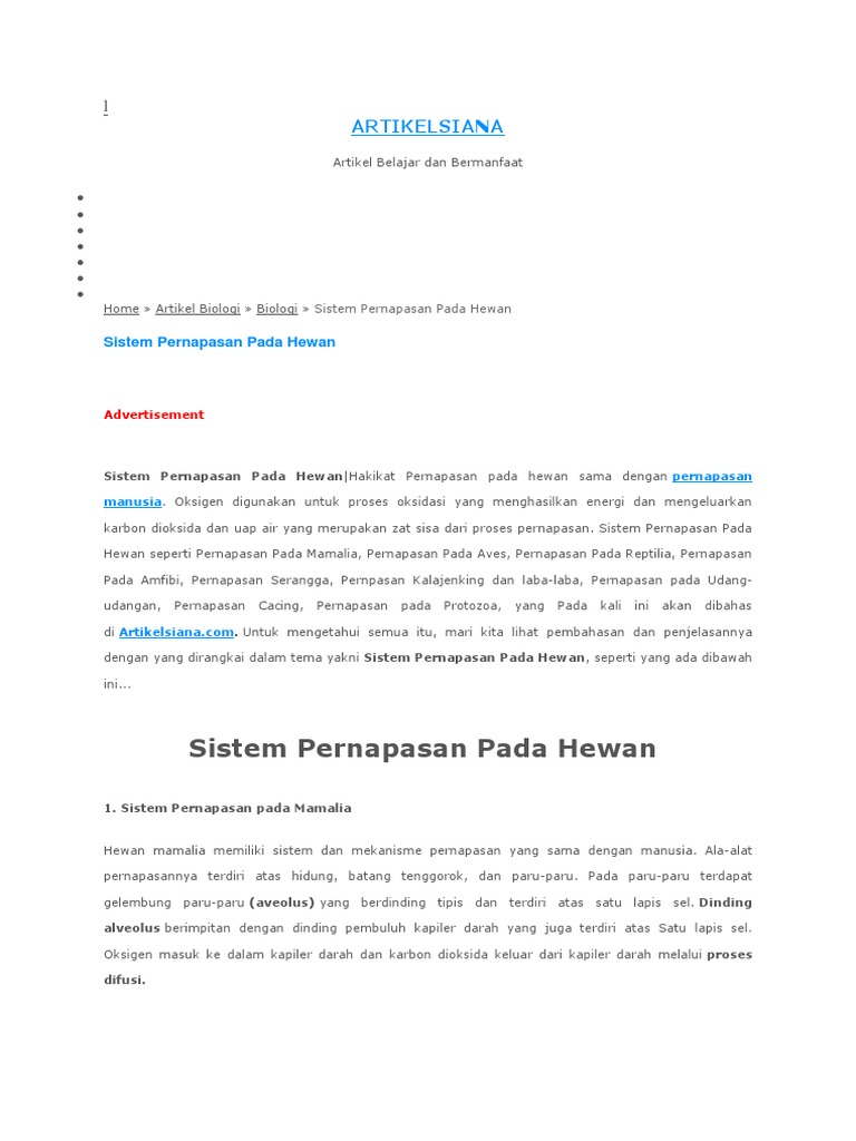 4700 Koleksi Gambar Organ Pernapasan Pada Hewan Mamalia Gratis