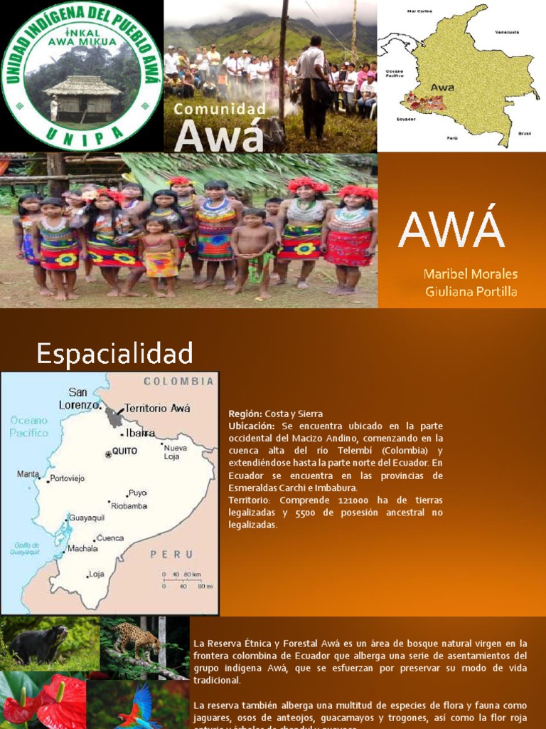 Awa Los Bosques Ecuador Essai Gratuit De 30 Jours Scribd