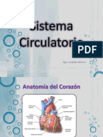 Sistema Circulatorio