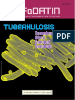 InfoDatin 2016 TB