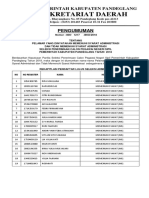 Pemerintah Kabupaten Pandeglang Seleksi