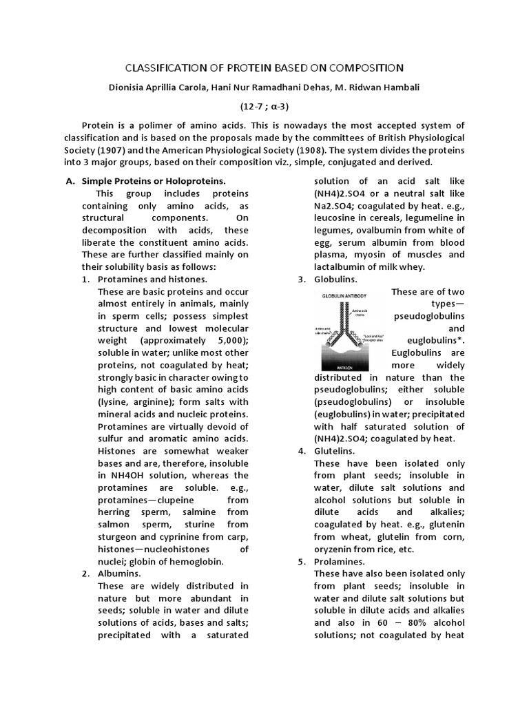 Classification of Protein Based On Composition PDF | PDF | Proteins ...