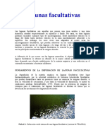 facultativas.PDF