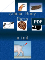 Animal Body Parts