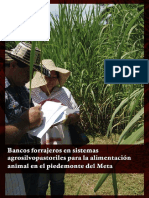 COLOMBIA - Bancos Forrajeros en Sistemas Agrosilvopastoriles