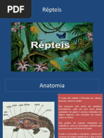 Répteis.pptx