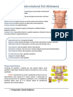 Pared Anterolateral Del Abdomen