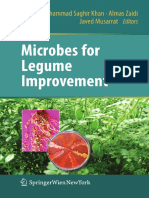 Microbes For Legume Improvement