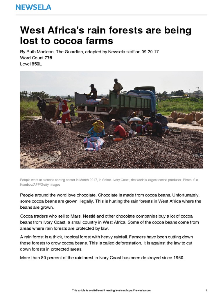 Deforestation Cocoa PDF Cocoa Bean Chocolate