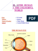Light-Human Eye and The Colourful World
