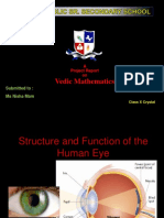 Structure and Function of The Human Eye