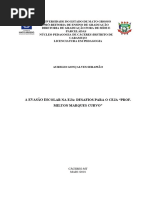 monografia final- Serapião.pdf