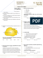 PDFFile PDF