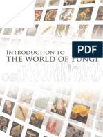 Introduction To The World