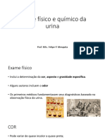 Exame físico e químico da urina