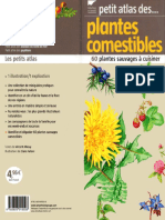 Petit Atlas Des Plantes Comestibles 60 Plantes Sauvages