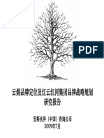 云烟战略报告.pdf