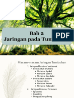 Bab 2 Jaringan Pada Tumbuhan