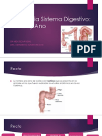 Anatomia Digestiva