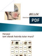 2BELLEK1.pdf