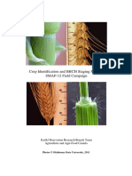 BBCH Staging Manual Cereals Corn PDF