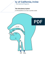 Diagram of Articulatory System