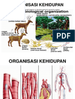 Organisasi Kehidupan