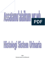 Histologi Sistem Urin PDF