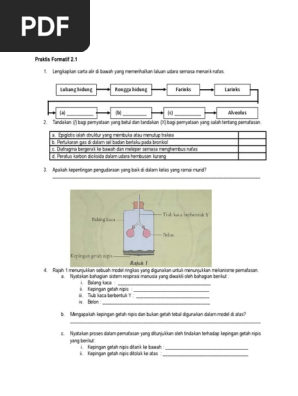 Bab 2 T3 Respirasi Pdf
