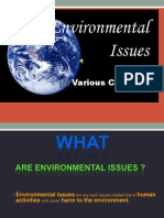 Environmental Issues in Japan, China, and India