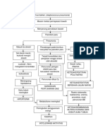 Pathway Pneumonia