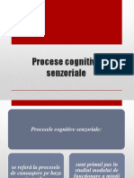 0_procese_cognitive_senzoriale.pptx