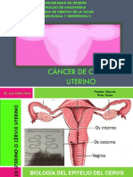 CA de Cuello Uterino Luis