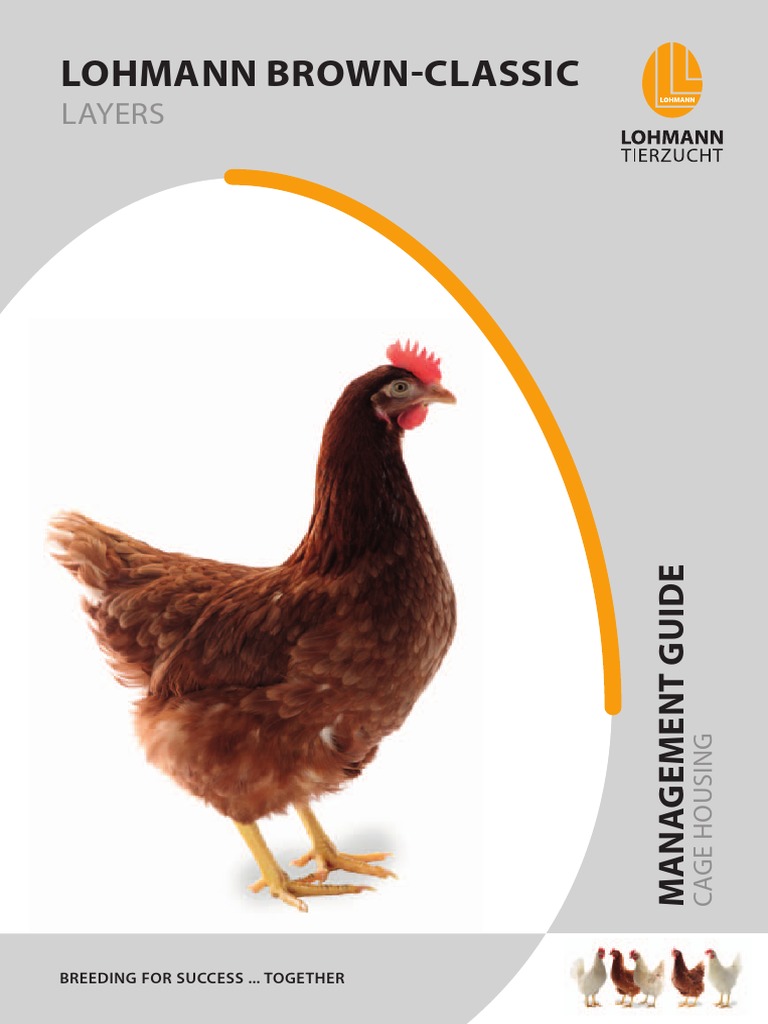 Lohmann Brown Layer Management Guide | PDF | Dietary Fiber | Diet ...