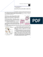 DocGo.Net-Med Resumos - Fisiologia Gastrintestinal (1).pdf.pdf