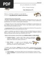 ficha informativa 1 - Que explicações para a extinção dos dinossauros
