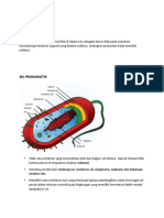 SGD Biopsiko LBM1