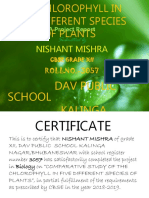 Nishant Mishra: Dav Public School Kalinga Nagar