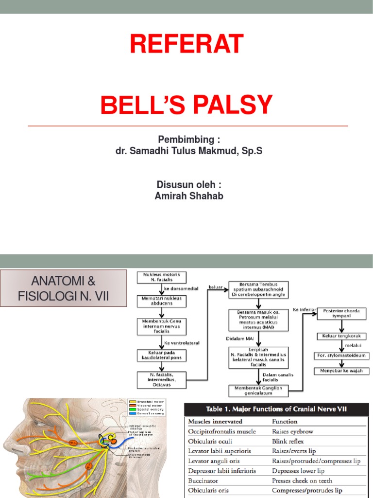 Bells Palsy | PDF
