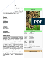 Citrullus Lanatus PDF
