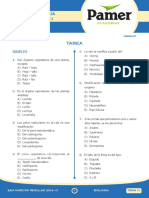 Bio_Sem_11_REINO PLANTAE II.pdf