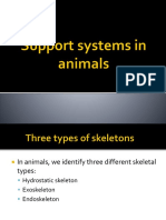 11 support systems in animals