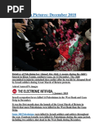 Palestine in Pictures December 2018