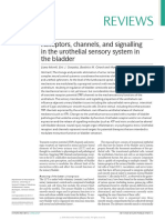 Channels Uro Bladder