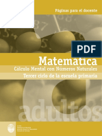 Cáculo Mental Con Números Naturales 3º Ciclo Escuela Primaria Matemática1_d.pdf