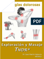 Manual TNDR PDF