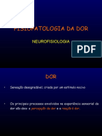Aula - Fisiopatologia Da Dor